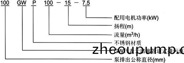GW筦(guan)道式無(wu)堵(du)塞(sai)排(pai)汚(wu)泵型(xing)號意義(yi)